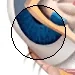 The Iris